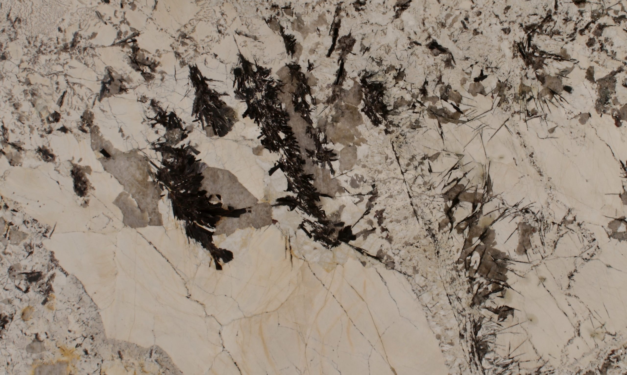 New Tampa Kitchen Gets New Quartz Countertops 5 Grand Delicatus Granite Slab