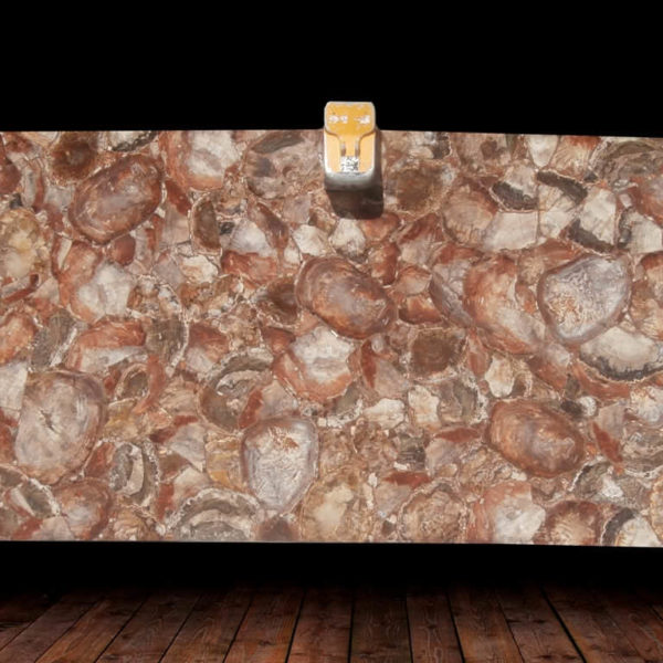 Brown Petrified Wood Semi Precious Gemstone