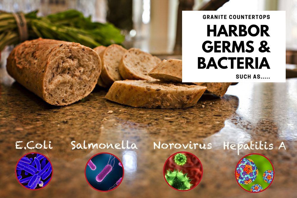 Granite Countertops: Germs &Amp; Gunk Galore, Gross! Don’t Buy Granite! 2 granite countertops harbor germs and bacteria such as norovirus salmonella hepatitis a ecoli