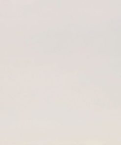 Igloo White LG Viatera Quartz