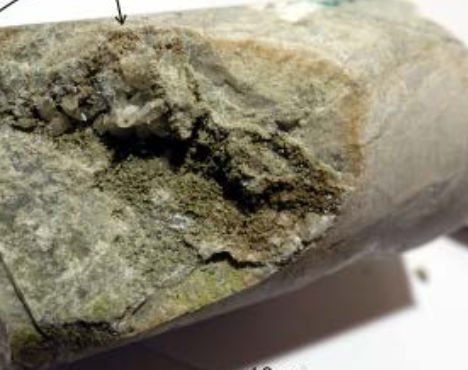 Granite Countertops: Germs &Amp; Gunk Galore, Gross! Don’t Buy Granite! 4 moldy granite | Countertops