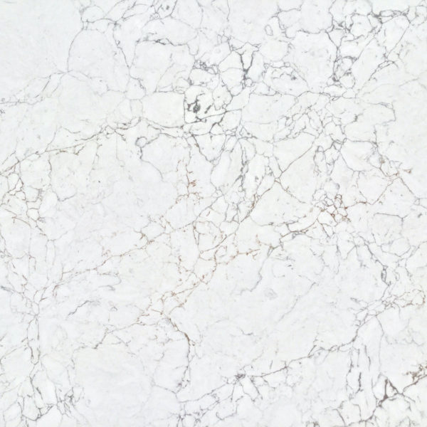 Pleione Quantum Quartz