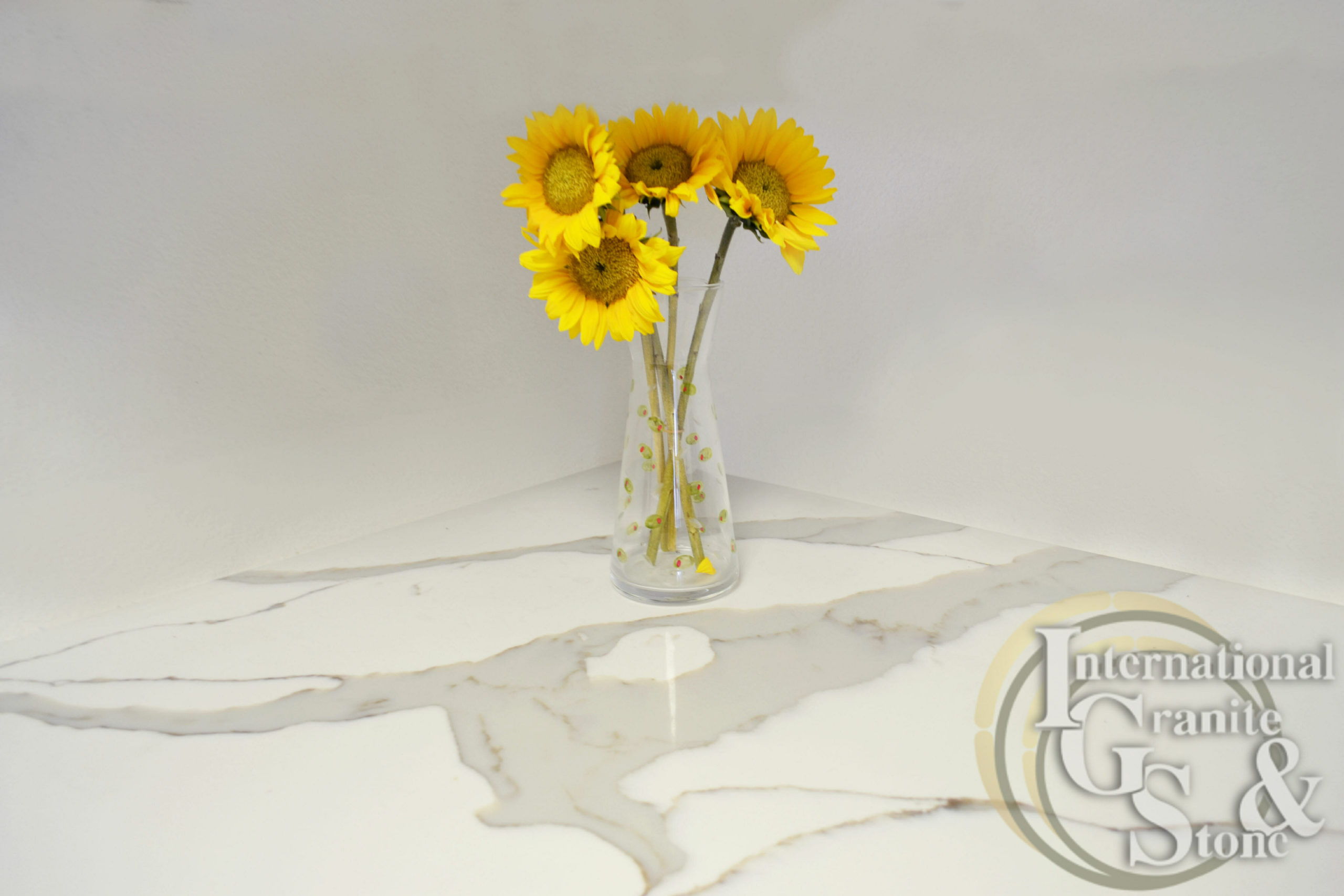 Quartz Kitchen Countertops New Tampa